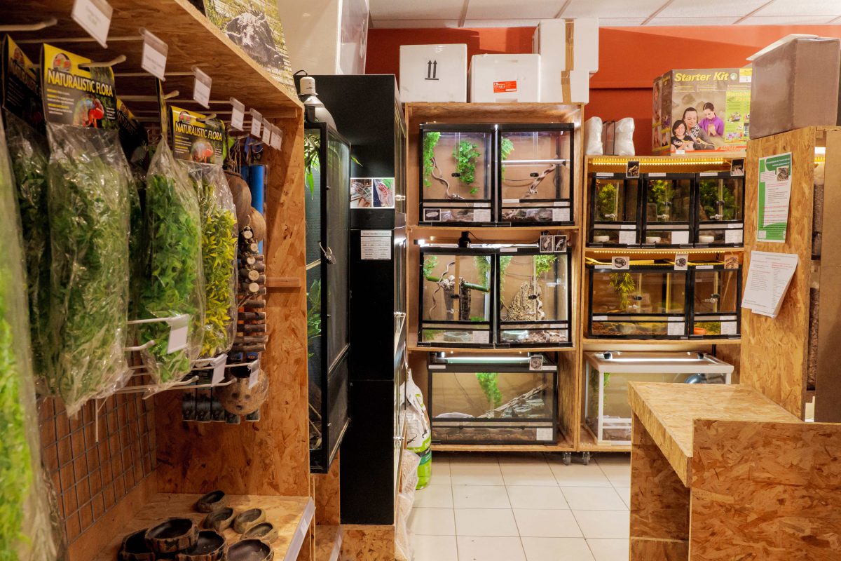magasin exotique tours nord